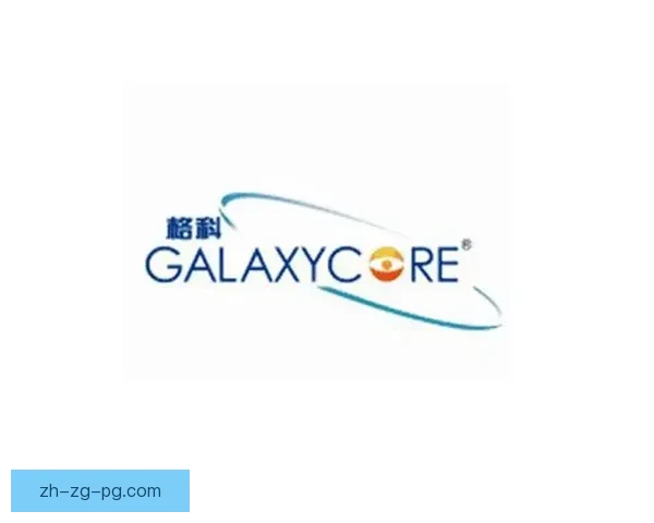 乒乓球世界排名：挑战排名榜首，谁能称霸乒坛？