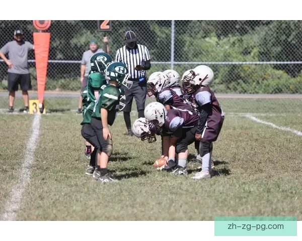 学习橄榄球技巧，提升实战水平