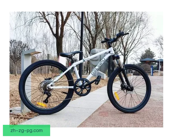 山地车技巧大揭秘：轻松驾驭复杂地形，提升骑行乐趣