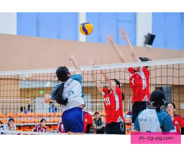 排球冠军：集结豪华群星，追逐荣耀传奇