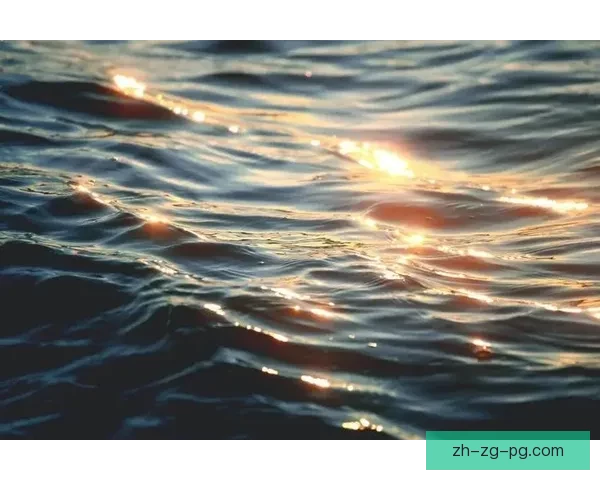 澎湃浪潮：冲浪赛事精彩回放收录