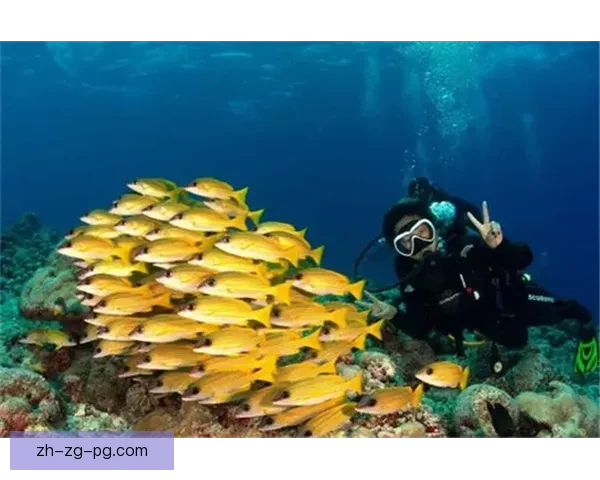 畅游碧波，探秘水下世界：游泳直播新体验
