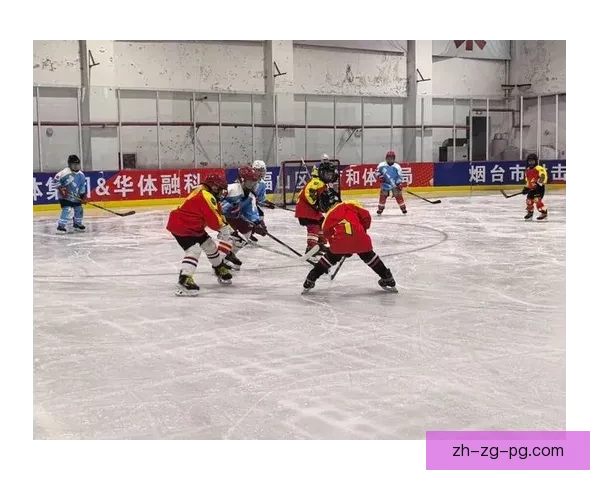 激情火热!冰球巅峰对决! 激情火热!冰球巅峰对决!