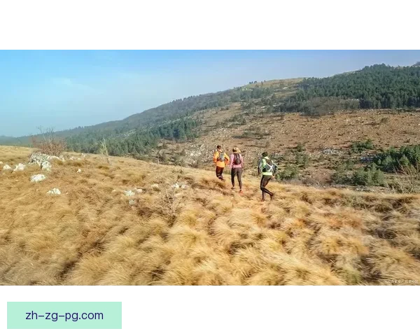 穿越山林，挑战自我：探寻极限的越野跑锦标赛