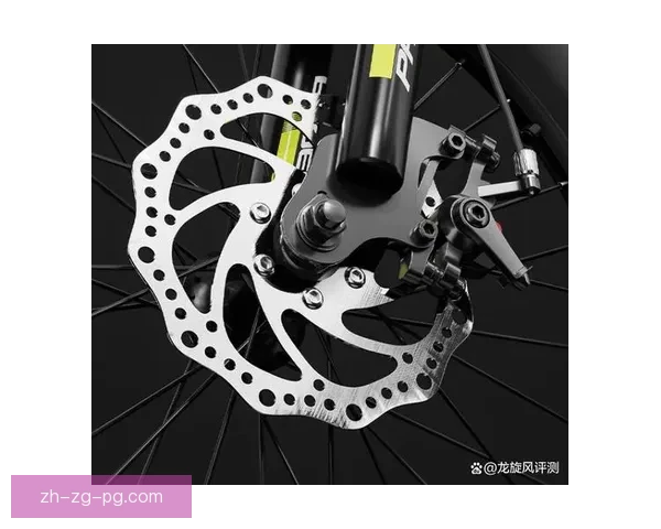 骑行未来：自行车盘口分析及趋势展望